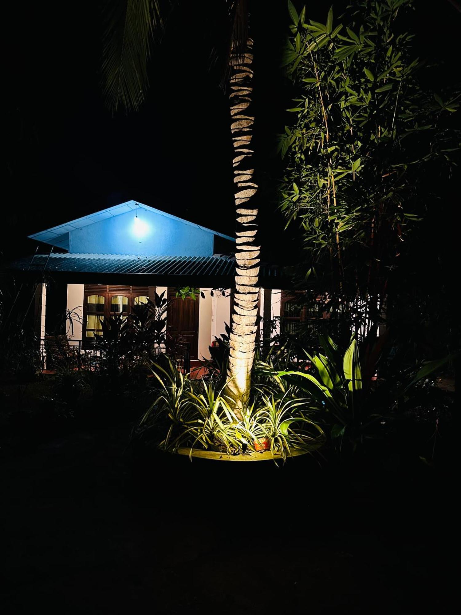 Sigiri Hibiscus Villa Szigirija Kültér fotó